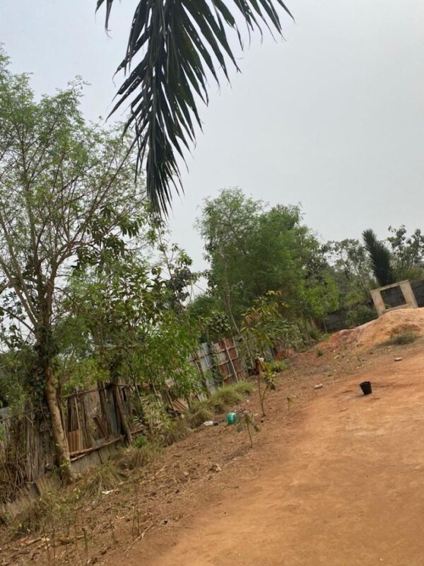 PARCELLES À Glo DJIGBE  922m² | Zone ultra-habitable | Titre foncier sécurisé – Image 3