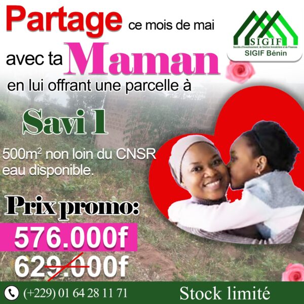 SAVI 1