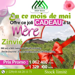 ZINVIE