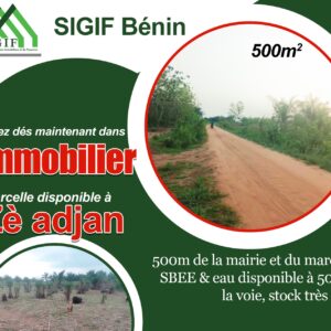 Parcelle Primo-accédant à Zé Adjan - Investissement Intelligent à 500m de la Mairie et du Marché