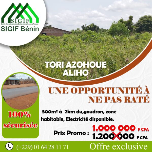 TORI AZOHOUE ALIHO