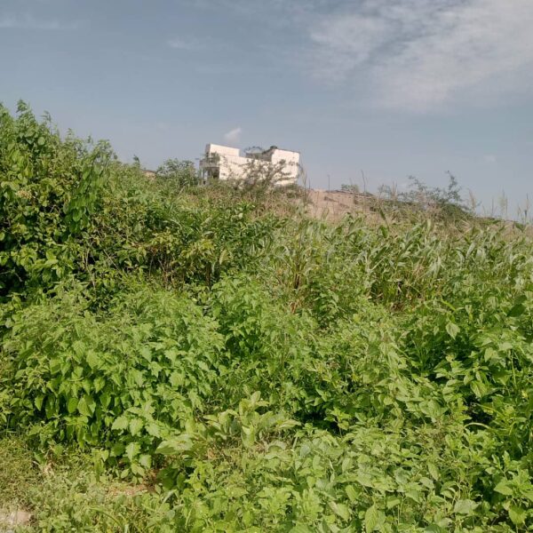 PARCELLE À ADJRARA HOUNVE  400m² | Investissement stratégique | Offre limitée – Image 2