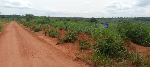 450m² Dédonné, Kpomasse, OUIDAH – Image 3