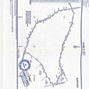 MÉGA PROMO à Kétou ! 100ha de terre agricole avec Titre Foncier