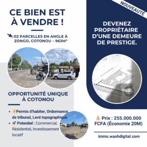 2 Parcelles en Angle à Zongo, Cotonou – 963m² – Permis d’Habiter – Prix Choc : 255M FCFA (Économisez 20M FCFA)