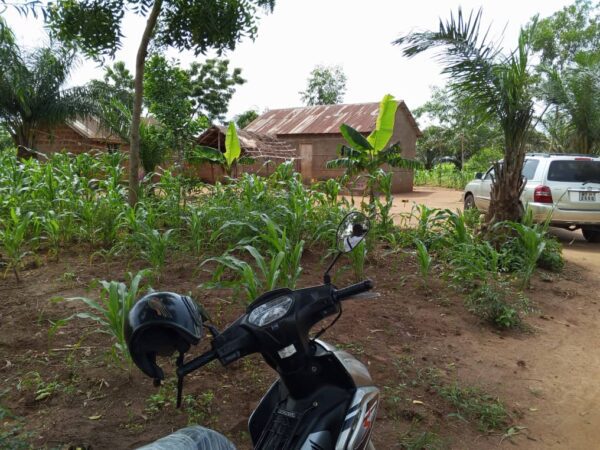 📍 Parcelle Viabilisée à Sékou - 1.200.000 FCFA (au lieu de 1.800.000 FCFA) – Image 2
