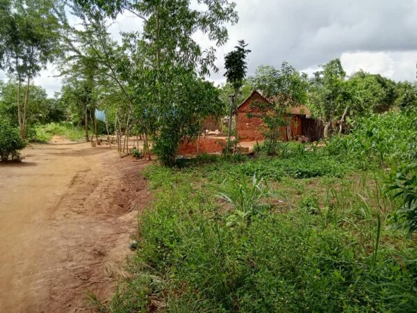 📍 Parcelle Viabilisée à Sékou - 1.200.000 FCFA (au lieu de 1.800.000 FCFA) – Image 3