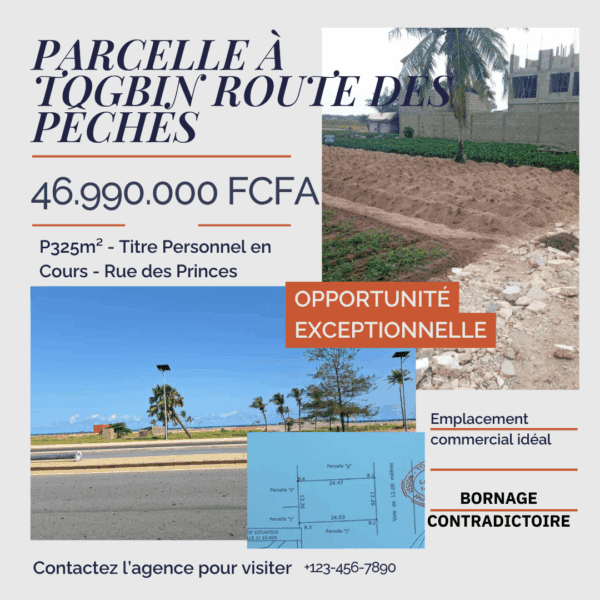 Parcelle à Togbin Route des Pêches - 325m² - Titre Personnel en Cours - Rue des Princes - Prix Ferme: 47M FCFA (Économisez 8M FCFA)!