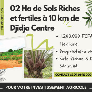 🚜 2 Ha de Terrain Agricole à Djidja Centre – 1.200.000 FCFA/Hectare (Prix Urgence) – Sols Riches & Dossier Sécurisé
