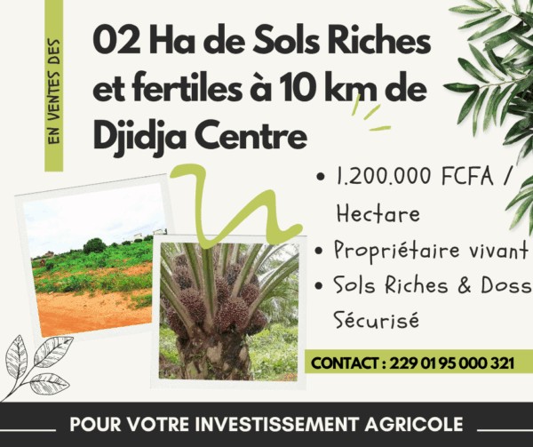 🚜 2 Ha de Terrain Agricole à Djidja Centre – 1.200.000 FCFA/Hectare (Prix Urgence) – Sols Riches & Dossier Sécurisé