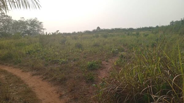 🔥 Terrain à Azohoué Cada (Tori-Bossito) - 900.000 FCFA (Prix Urgence) - Levée Topo ✅ – Image 2