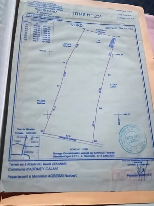 PARCELLE 1 HECTARE À GBETAGBO - 1000m² - TF Personnel - 400m du Goudron Inter-État – Image 2