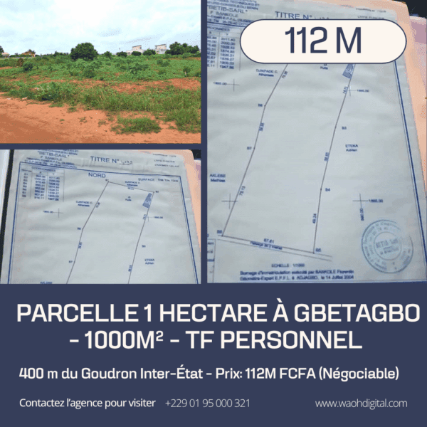 PARCELLE 1 HECTARE À GBETAGBO - 1000m² - TF Personnel - 400m du Goudron Inter-État
