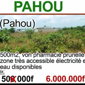 Terrain de 500 m² à Pahou — Emplacement Stratégique (Zone Pharmacie Prunelle)